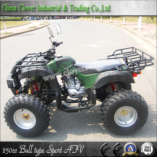 Chinese High Quality Manual Type 250cc ATV Sport Quad Bike ATV