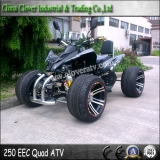EEC Standard 14 Inch Street Wheel Legal Racing ATV 250cc Quad Bike 
