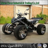 EEC SPY 250cc RACING ATV