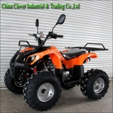 Orange Color High Configurations ATV Sport Quad Bike 110cc With CE