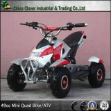6 inch Big Wheel ATV 49CC Motor Quad Bike with Bull Bar