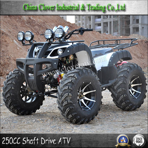Popular Farm ATV 250CC Hunting ATV with LED Speedometer