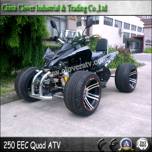 EEC Standard 14 Inch Street Wheel Legal Racing ATV 250cc Quad Bike 