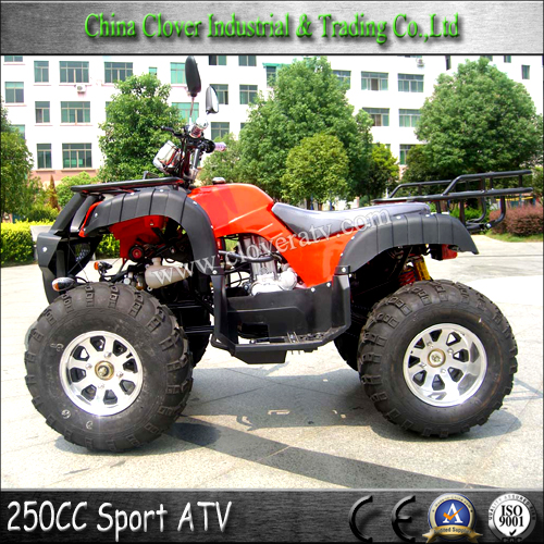 ATV 250cc Farm ATV 250cc China 2x4 ATV with 10 inch Alloy Wheel 