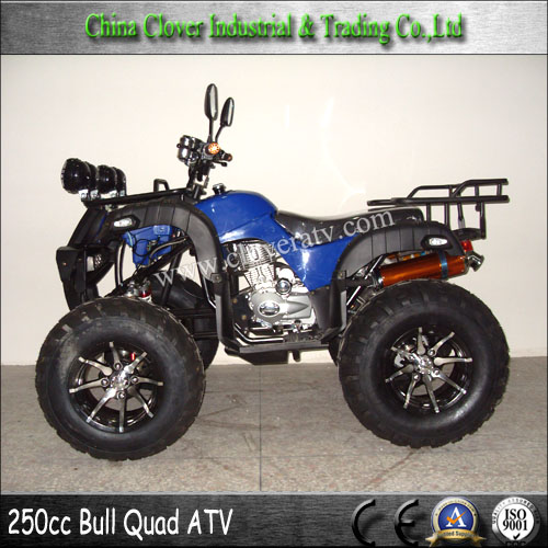 Used Powerful Farm 250cc ATV with LED Head Light