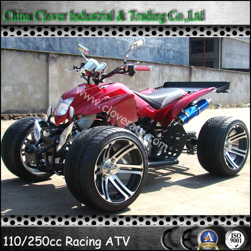 110CC ATV Equipped with Powerful Air Cooling Engine with Reverse Gear ATV